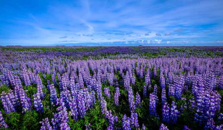 Revisiting my 2023&nbsp;Roadmap